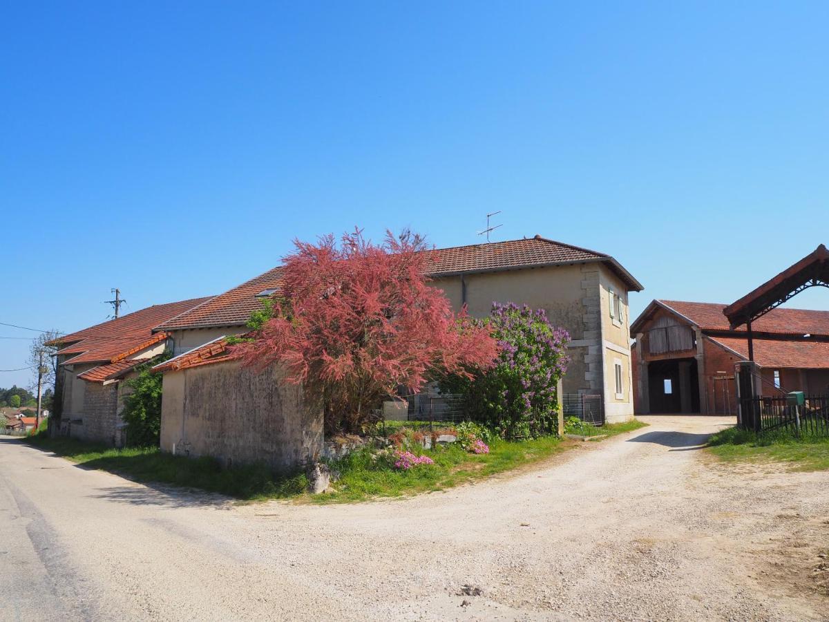 Le Gite Du Haut Chatillon-la-Palud ภายนอก รูปภาพ