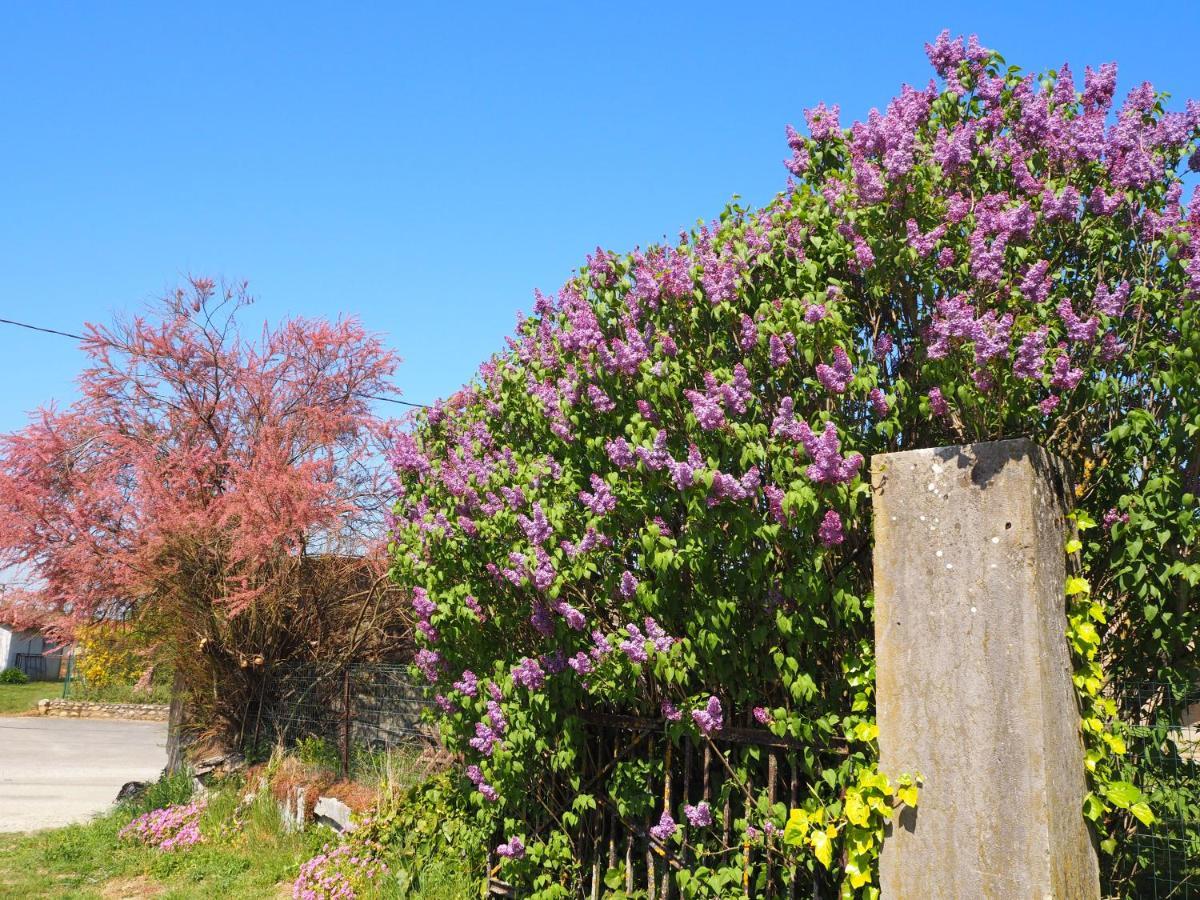Le Gite Du Haut Chatillon-la-Palud ภายนอก รูปภาพ